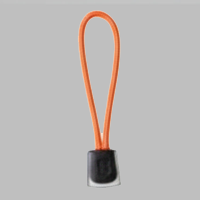 Accessories: Victorinox lanyard